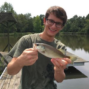 Meet your Posher, Dylan